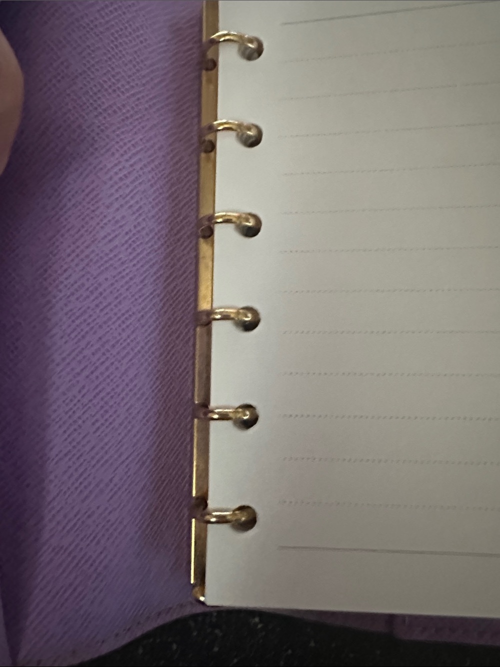 Louis Vuitton Brown Damier Ebene Illustrated Small Agenda Cover - Picture 6 of 9